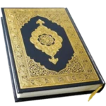 holy quran english android application logo